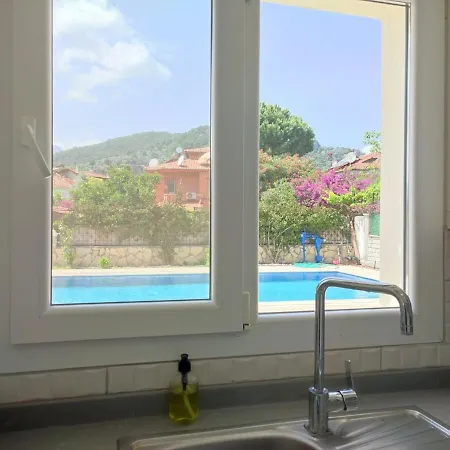 Deniz Yildizi Ortaca (Mugla)